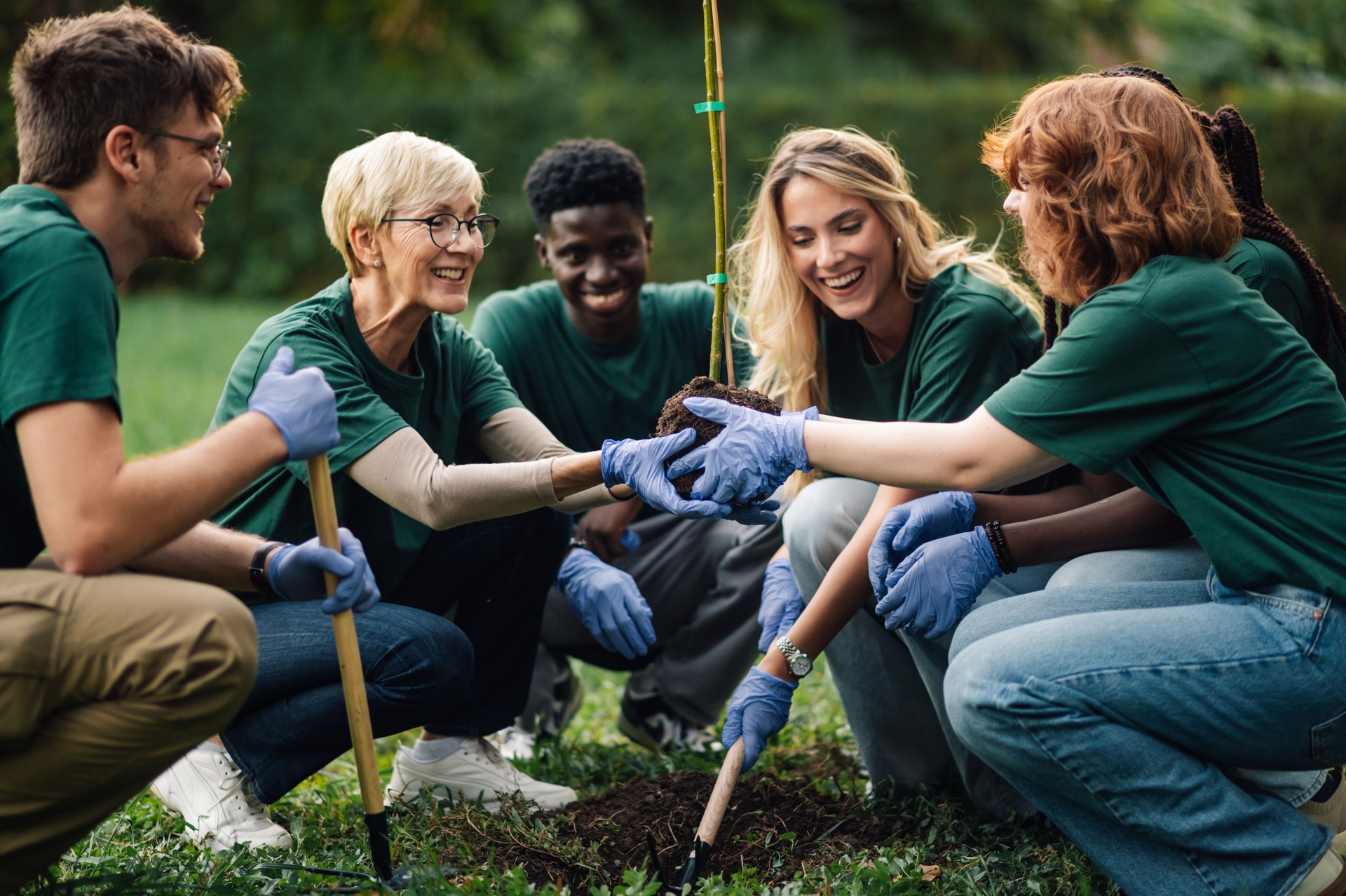 Volunteers planting a new tree sapling in the park